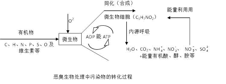 生物除臭设备