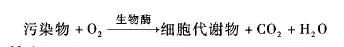 RTO,RTO焚烧炉,蓄热式焚烧炉