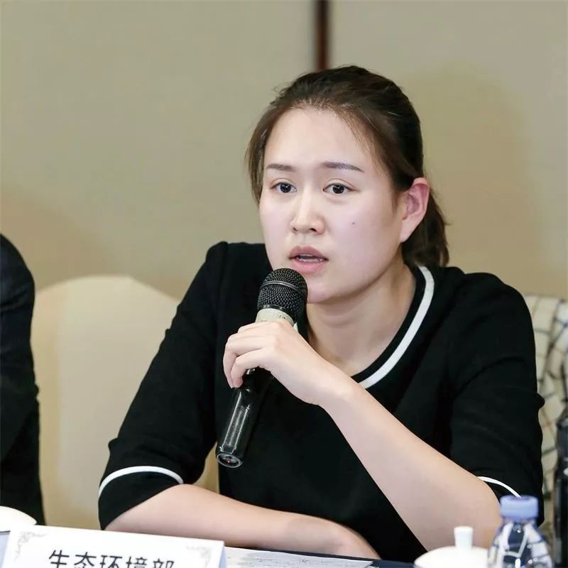 RTO,RTO焚烧炉,蓄热式焚烧炉