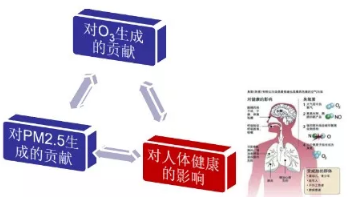 RTO,RTO焚烧炉,蓄热式焚烧炉